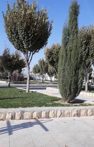 پارک حجاب