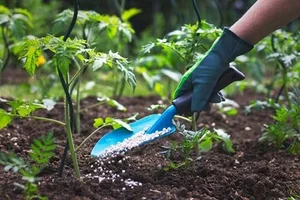هایپر کشاورزی مرکزی