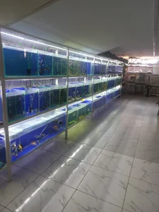 اکواریوم باربد 3