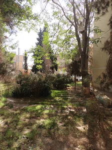 بوستان لت
