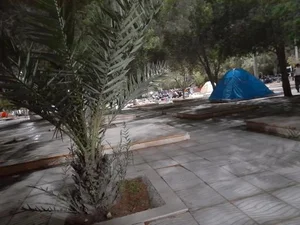 پارک جنگلی خلیج فارس 2