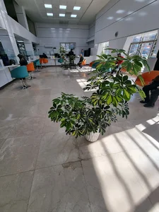 بانک تجارت شعبه امام خمینی