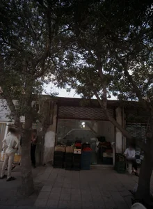 میوه فروشی 2