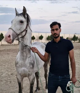 Torabi Horse Riding Club