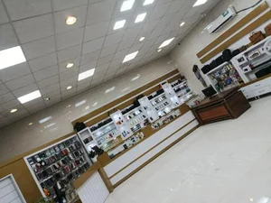 عصر دیجیتال علوی 4