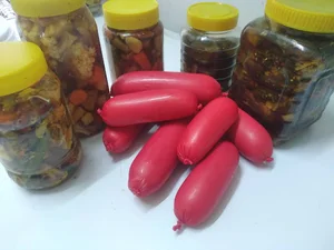 محصولات خانگی آرتمیس بانو 2