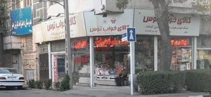 کالای خواب توس