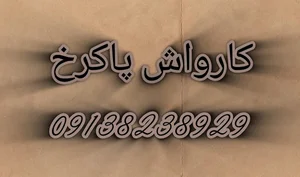 کارواش پاک رخ 2