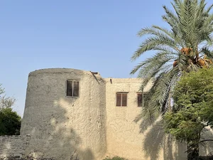 فستي خيلو مينه