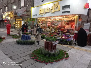 گل فروشی مریم 2
