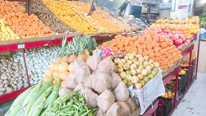 میوه فروشی ترنج تهران