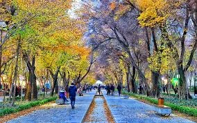نمایندگی بیمه کارآفرین تبریز کد 1831