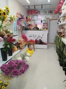 هایپر ارگانیک(سبزیجات آماده)