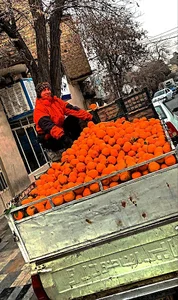 هایپر میوه پاپایا