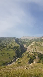موسسه حسابداری بوعلی حساب پویا