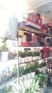 گل فروشی پامچال