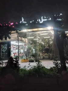 گل و گیاه جوانه 3