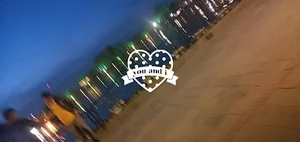 شاهگلی