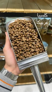 شکپوی 4