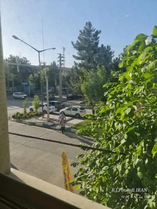کلینیک دامپزشکی دکتر چراغی 4