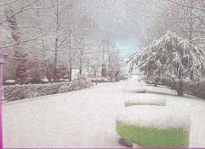 مجموعه آموزشی فرهنگی ورزشی کارکنان بانک رفاه 3