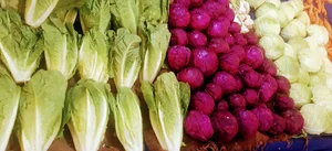 میوه سرای سیدرضی