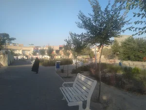 بوستان کال جنگل
