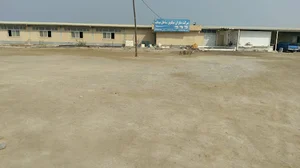 شرکت مکران میگو ساحل میناب