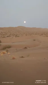 تله دنبه ای