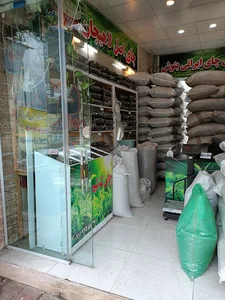 فروشگاه چای ترنج
