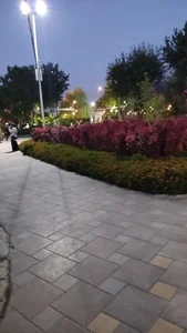 پارک شهید چمران 4