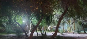 فضای سبز