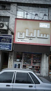 موبایل سالیان 2