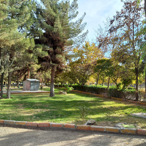 بوستان وحدت
