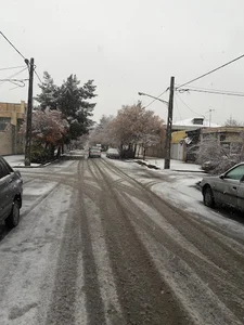 بستنی پاک طوس