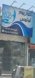 آکواریوم لوتوس 2