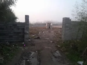 ملک دکتر نادری