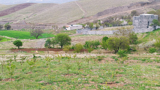 سورازه