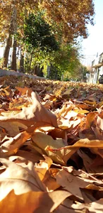 اداره آموزش و پرورش استهبان