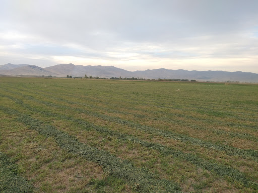 تپه باستانی موسی آباد