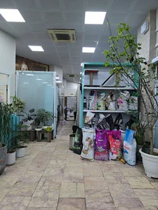 کلینیک دامپزشکی سعید کهنموئی