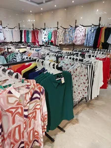 پوشاک نقره‌ای 2