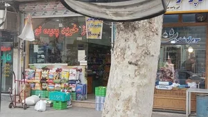 مرکز خرید پدیده نو(محمدحسین اکبرنژاد) 3