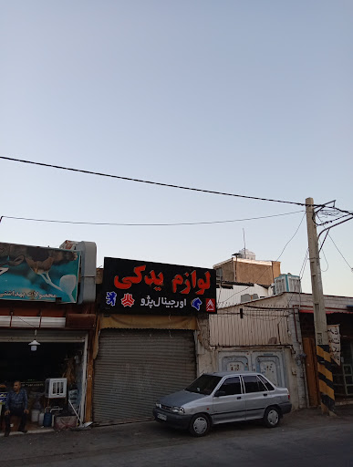 لوازم یدکی اورجینال پژو