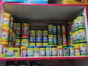 مینگو پت شاپ [] Mingo Petshop 4