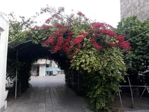مدرسه فقهی امام محمد باقر (ع)