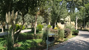 باغ کسری
