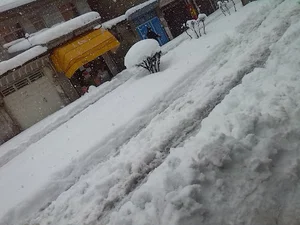 فروشگاه و خدمات رایانه ای گرین نت