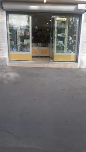 خرازی مرضیه