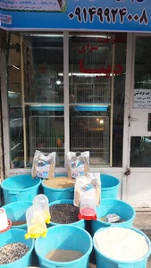 پرنده سرای دیبا